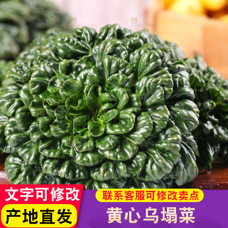 木板上的乌塌菜