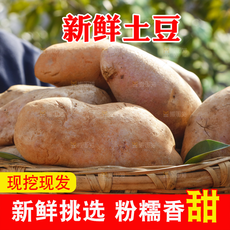 篮子里装着云南红心土豆