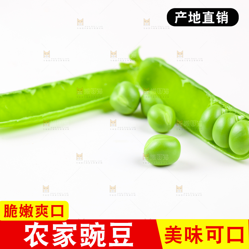 剥开的新鲜豌豆放在白底上