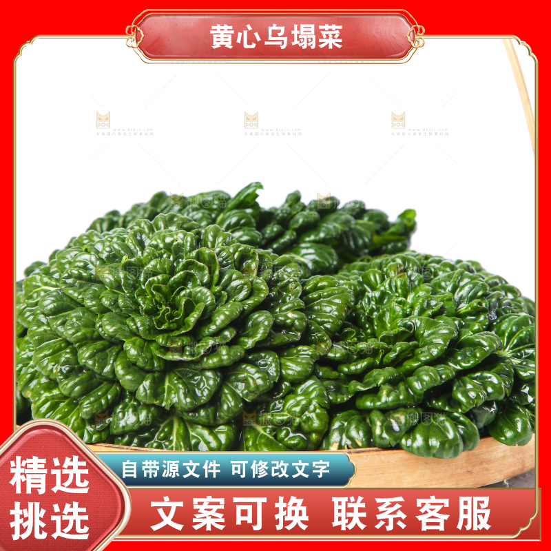 篮子里装着乌塌菜