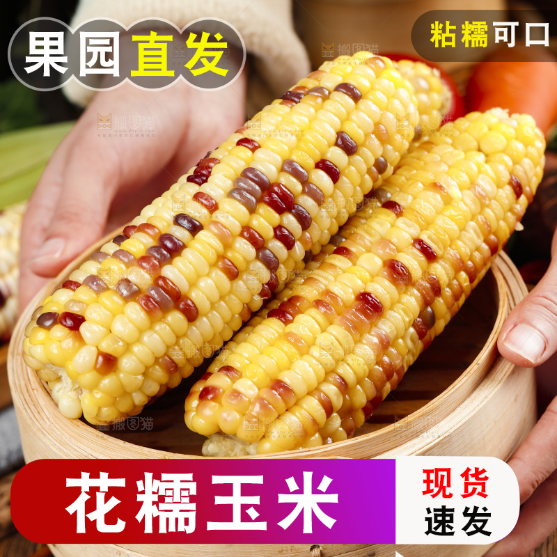 手拿一笼熟花糯玉米