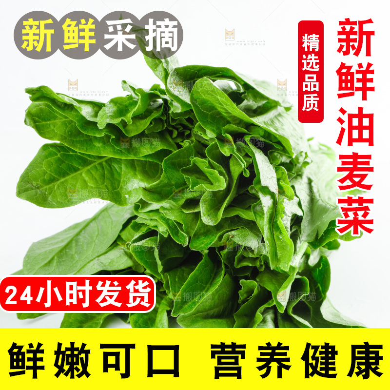 白底上放着油麦菜