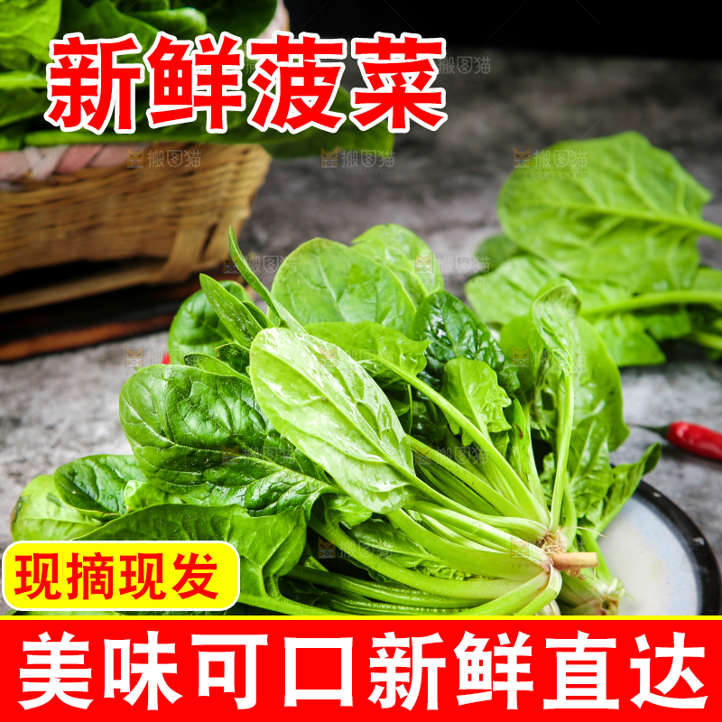 盘子里装着农家菠菜