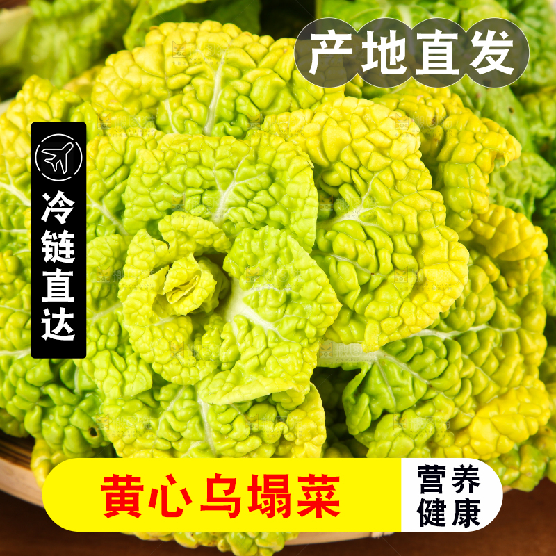 篮子里装着乌塌菜