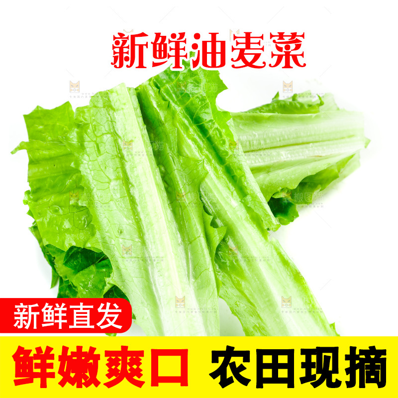 白底上放着油麦菜