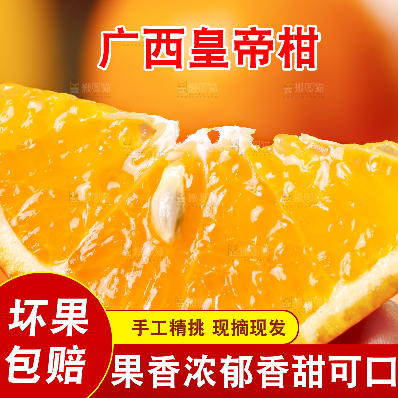 手拿切开的皇帝柑
