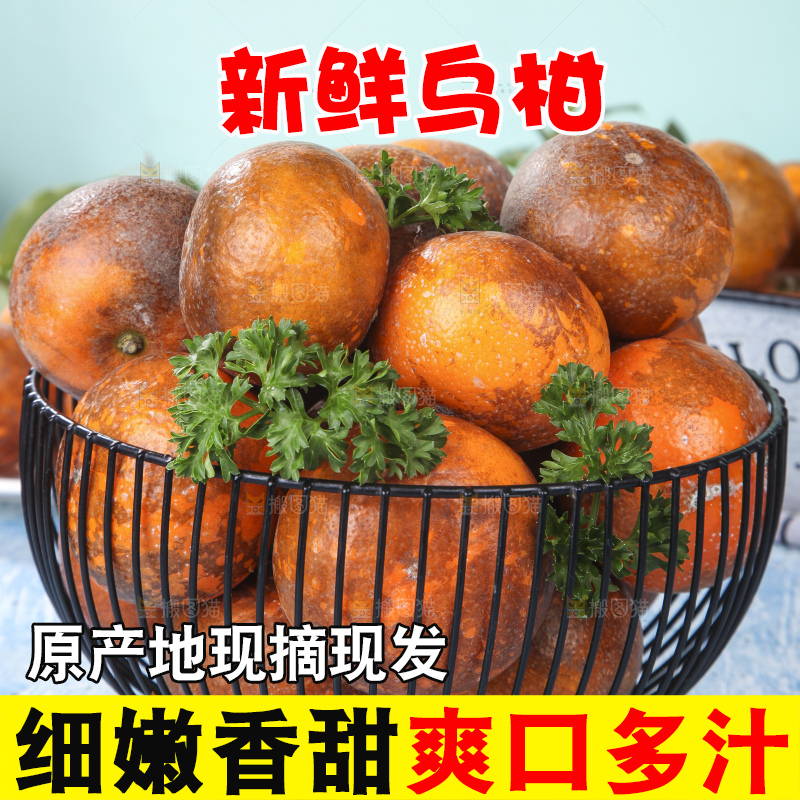 框子里装着新鲜乌柑