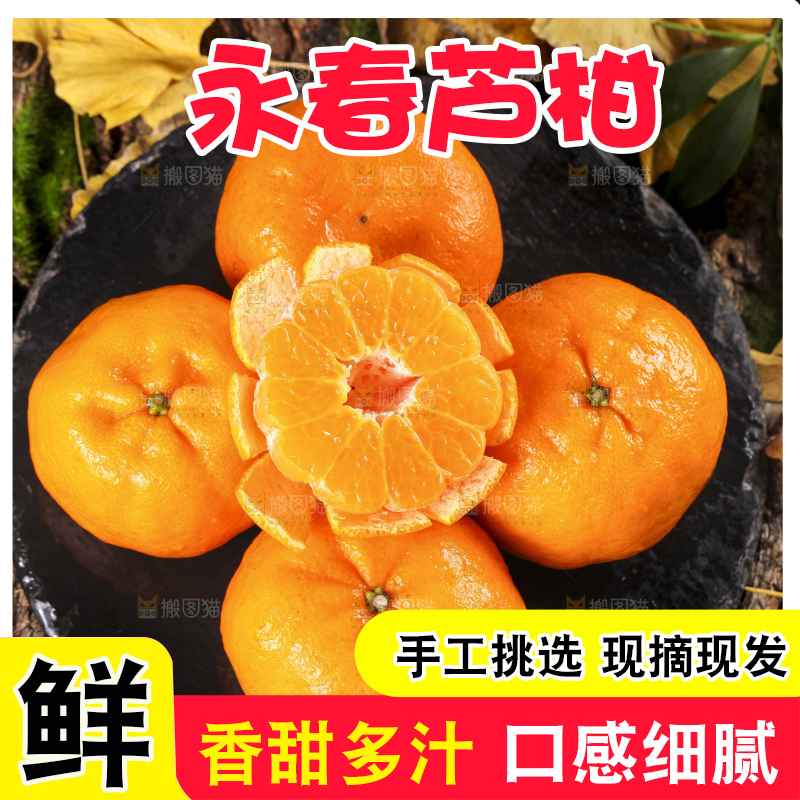 黑石板上的云南椪柑