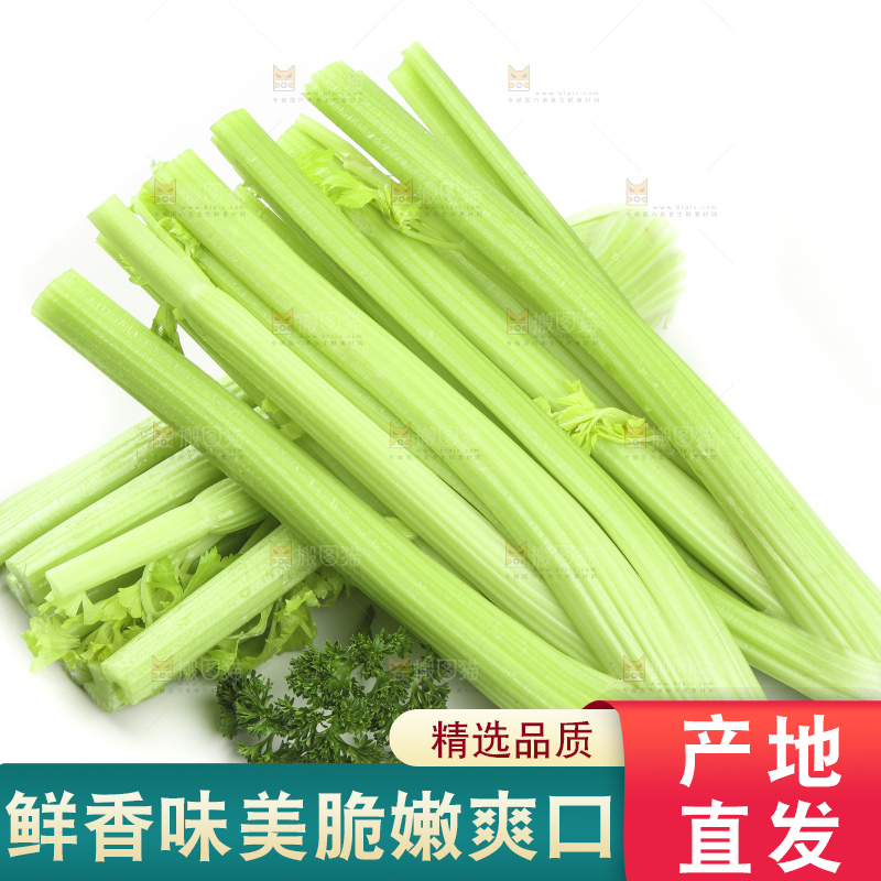 白底上的山东西芹