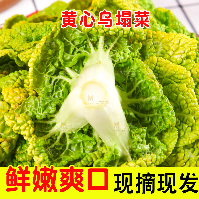 篮子里装着乌塌菜