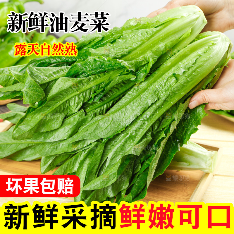 木板上的米香油麦菜