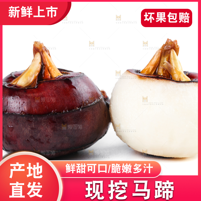 白底上摆放着乐昌北乡马蹄