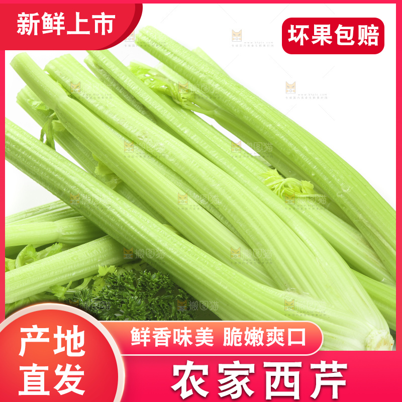 白底上的山东西芹