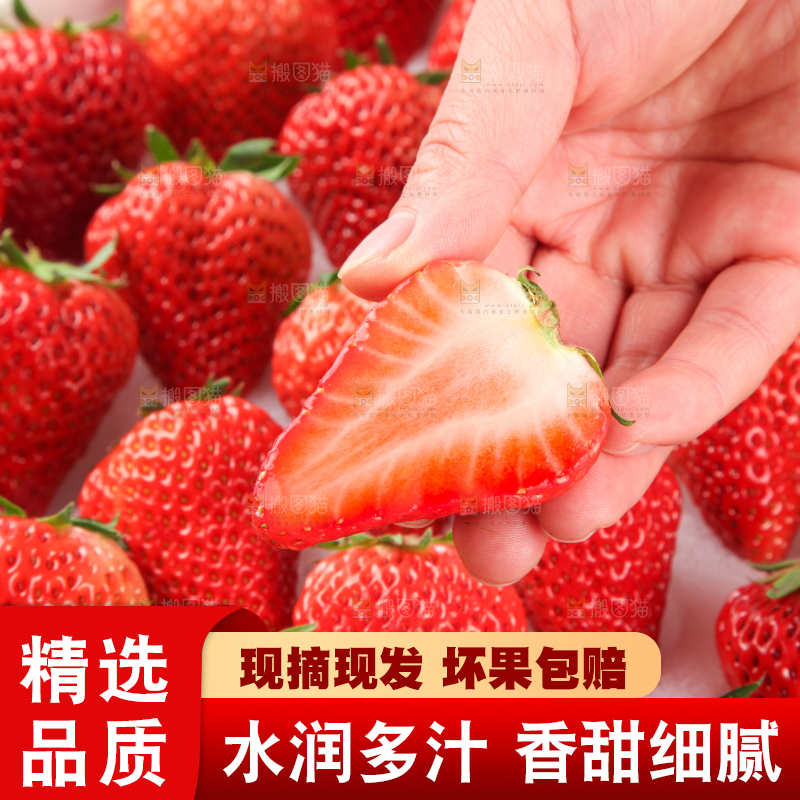 手里拿着新鲜草莓