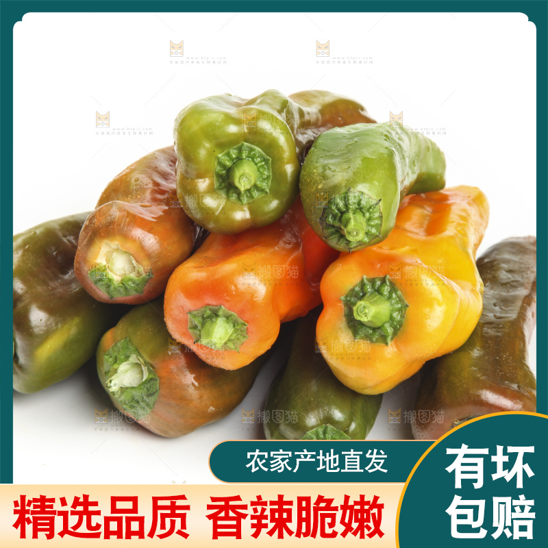 白底上的彩色辣椒