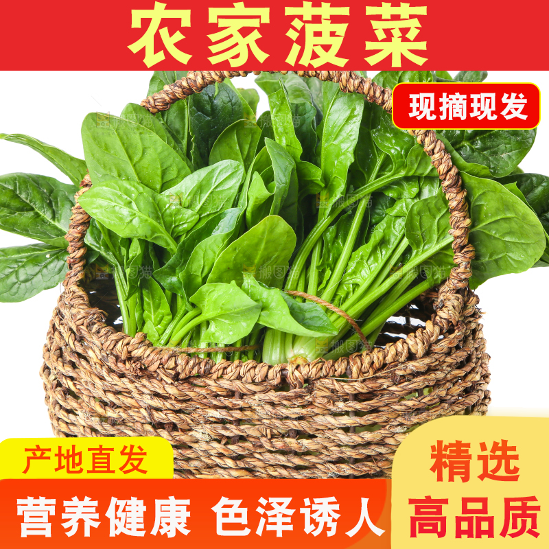 篮子里的红根菠菜
