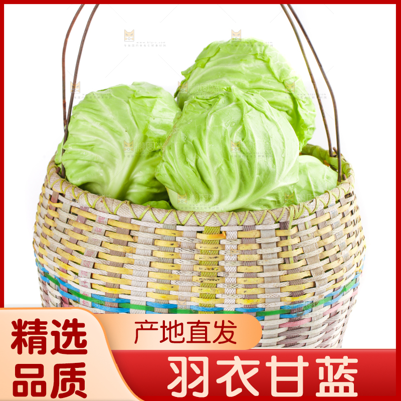 篮子里装绿甘蓝