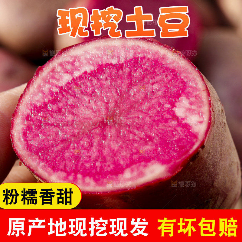 土地上放着红心土豆