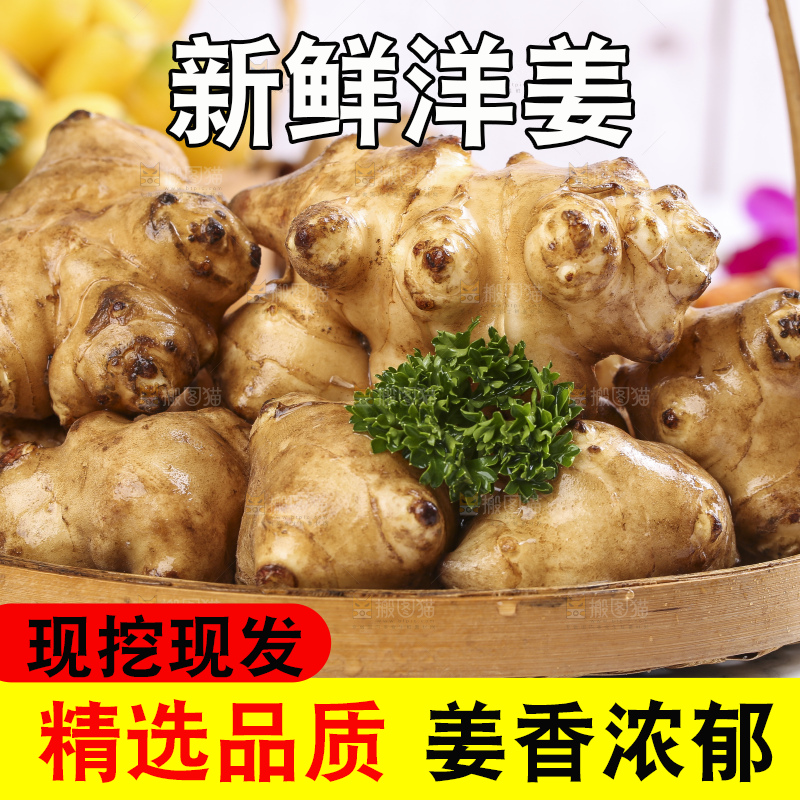 石板上放着菊姜