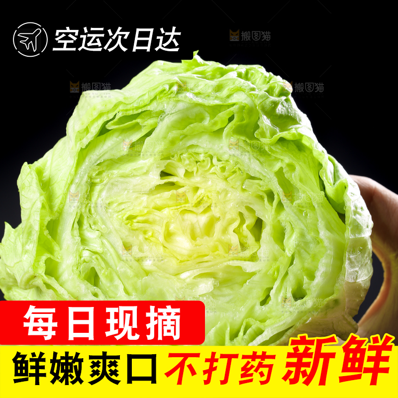深底上的圆形生菜