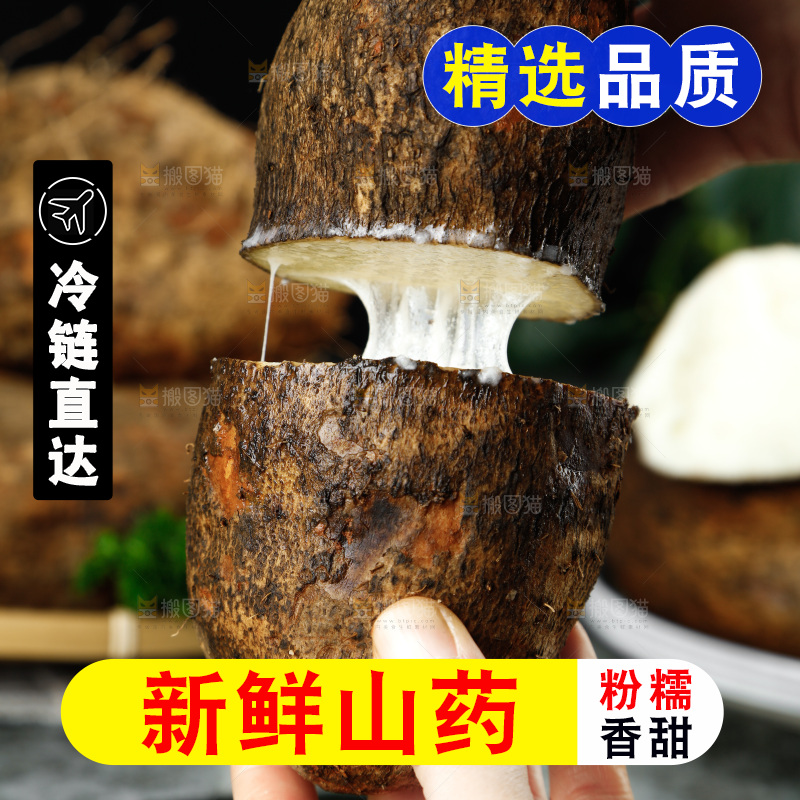 黑底上的金秤砣山药
