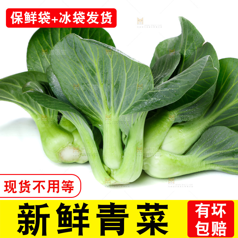 白底上放着青菜