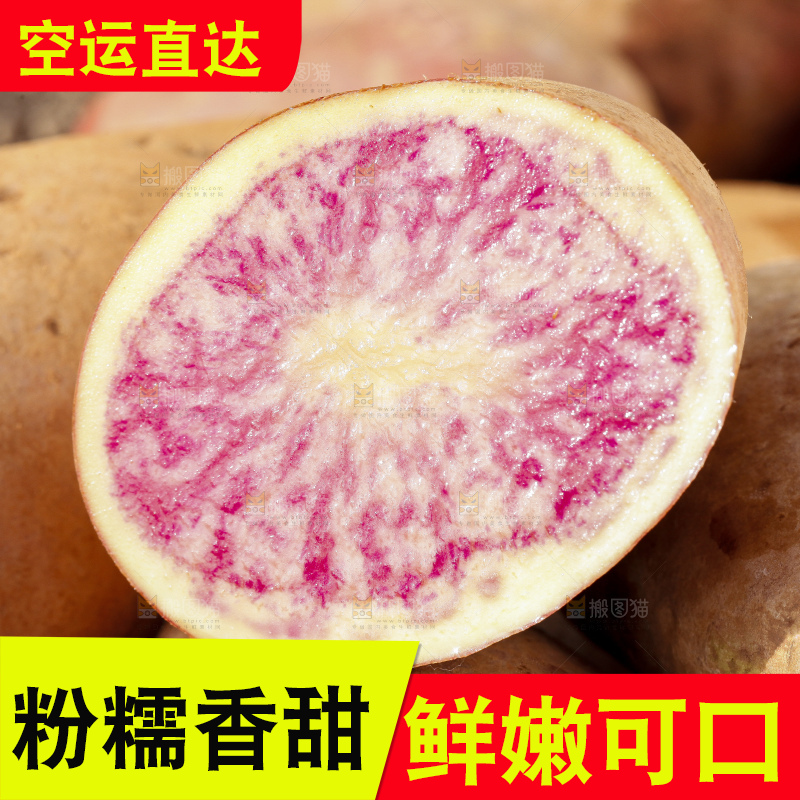 沙地里的彩色土豆