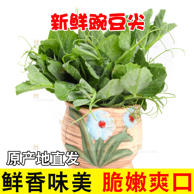 白底上摆放着新鲜豌豆苗