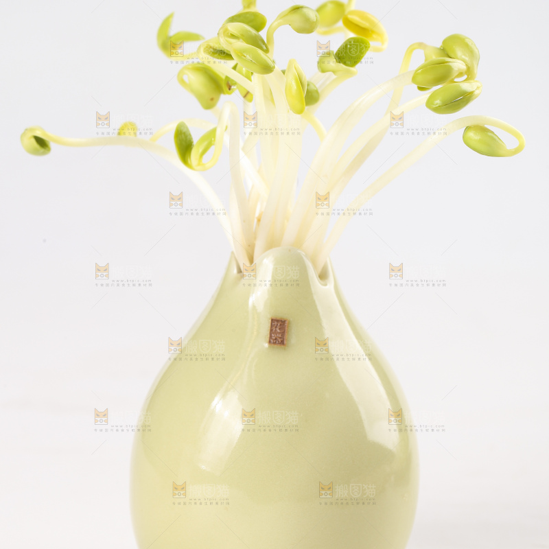 瓶子里放着黄豆芽