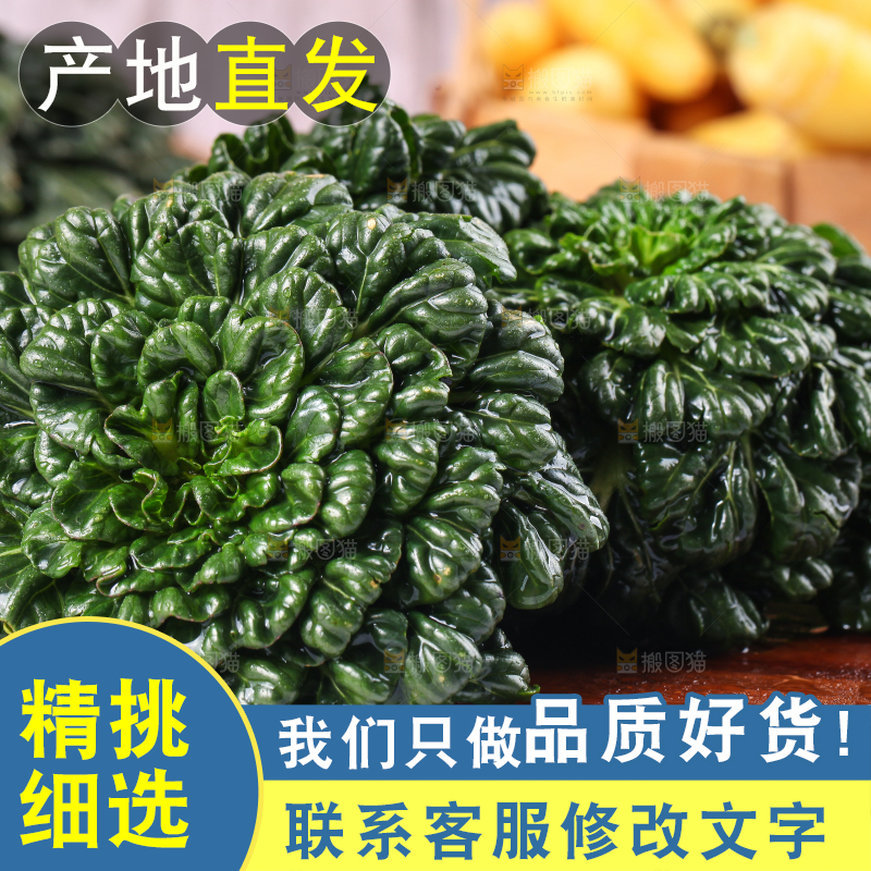 木板上的乌塌菜