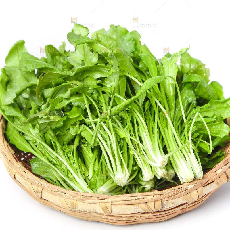 篮子里装着芥菜