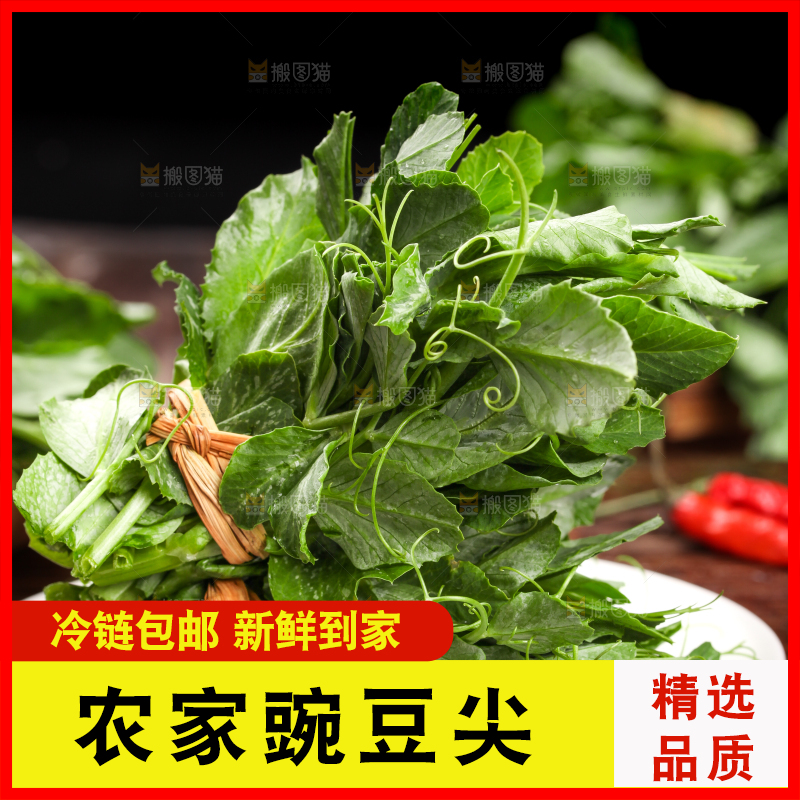 深底上的四川豌豆尖