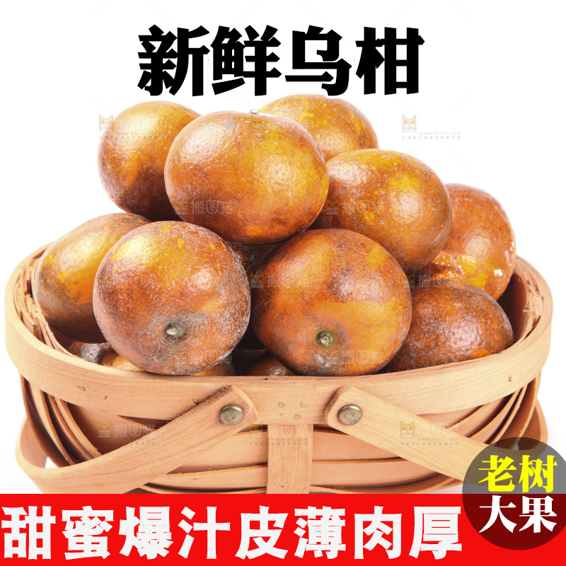 篮子里的广西乌柑