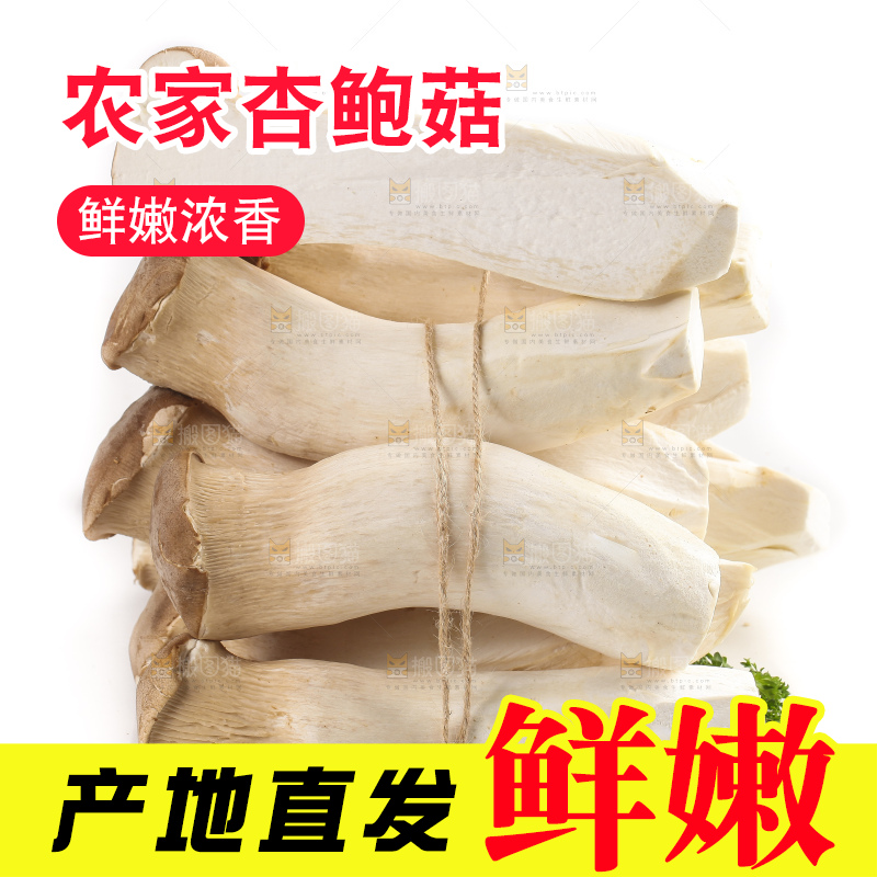 白底上放着一捆新鲜杏鲍菇