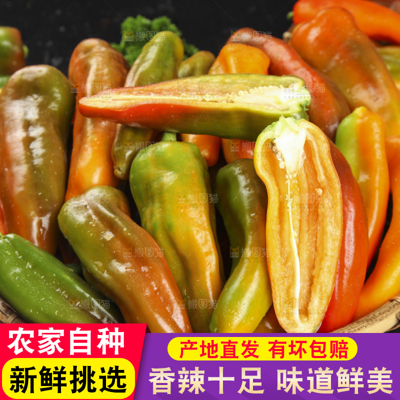 篮子里装着青红辣椒