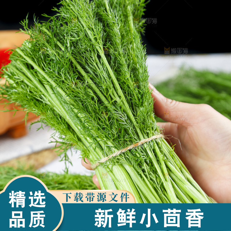 盘子里装着农家茴香菜