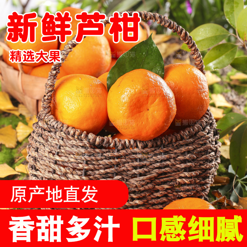 篮子里装着新鲜芦柑