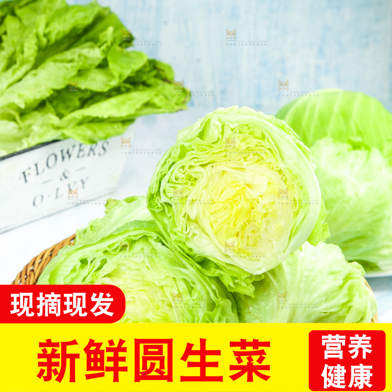 篮子里放着圆生菜