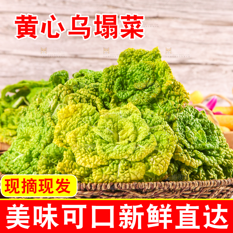 篮子里装着乌塌菜