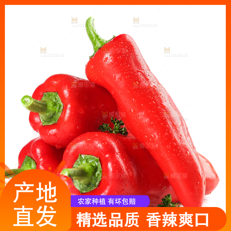 白底上放着红甜椒