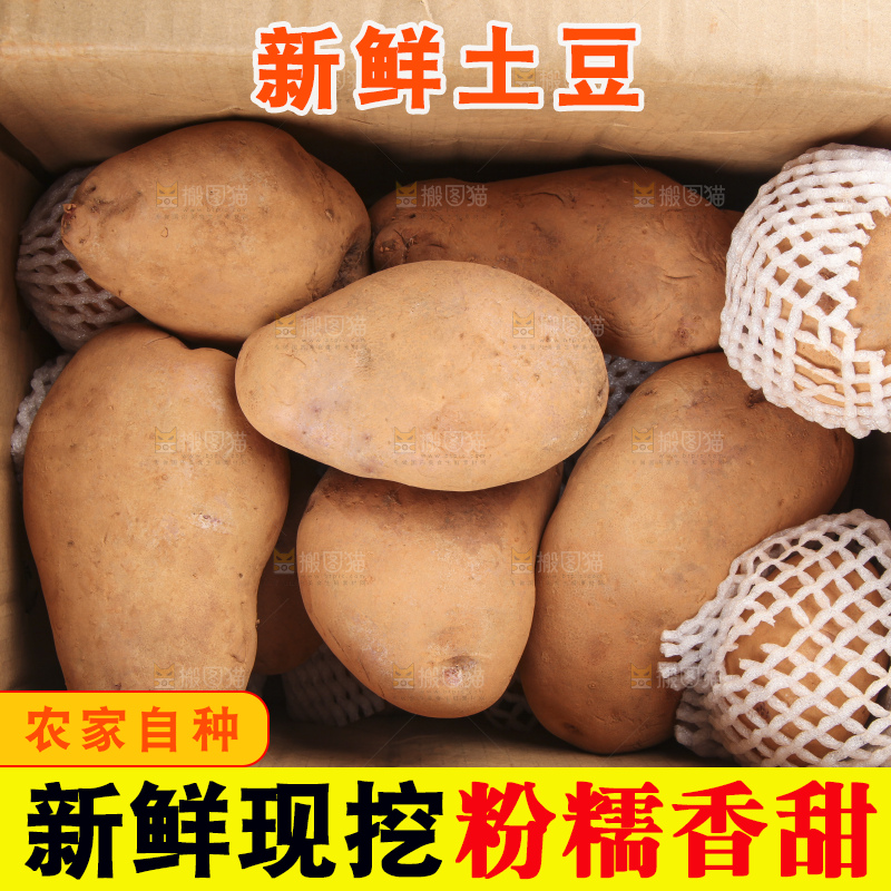 箱子里装着黄土豆