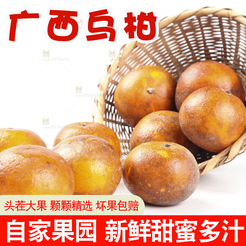 篮子里的广西乌柑