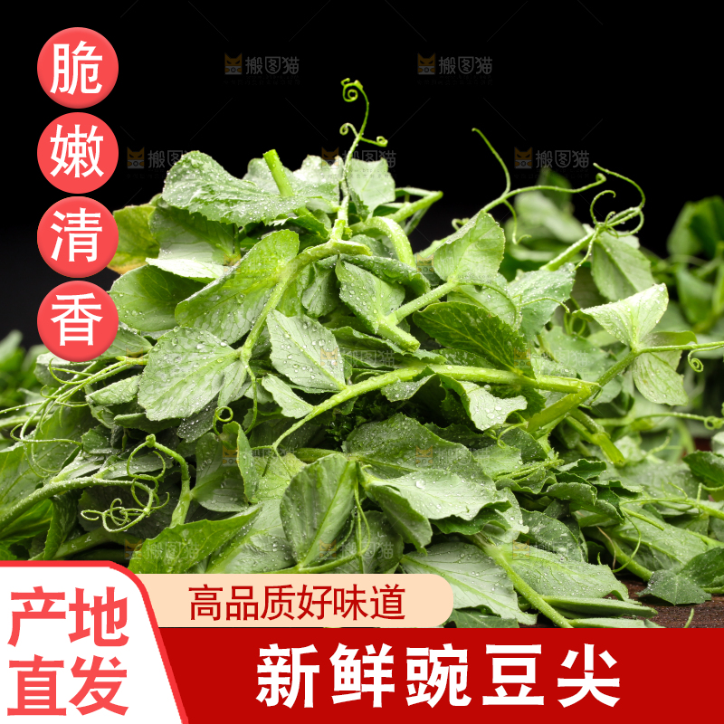 深底上的四川豌豆尖