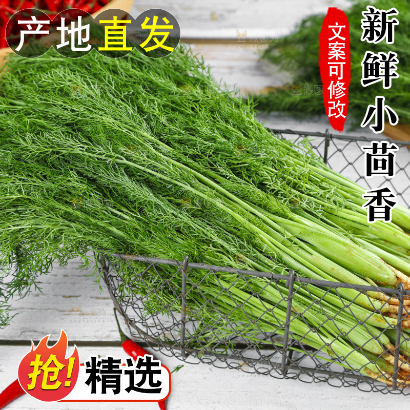 木底上的小茴香菜