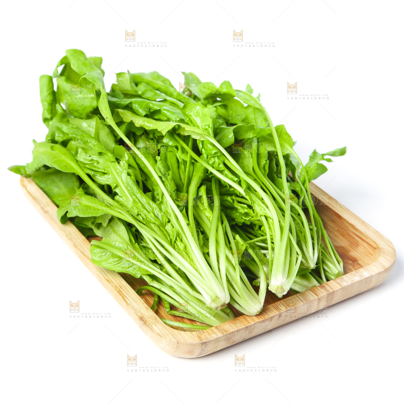 白底上的地菜