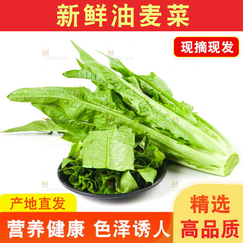 白底上的香麦菜