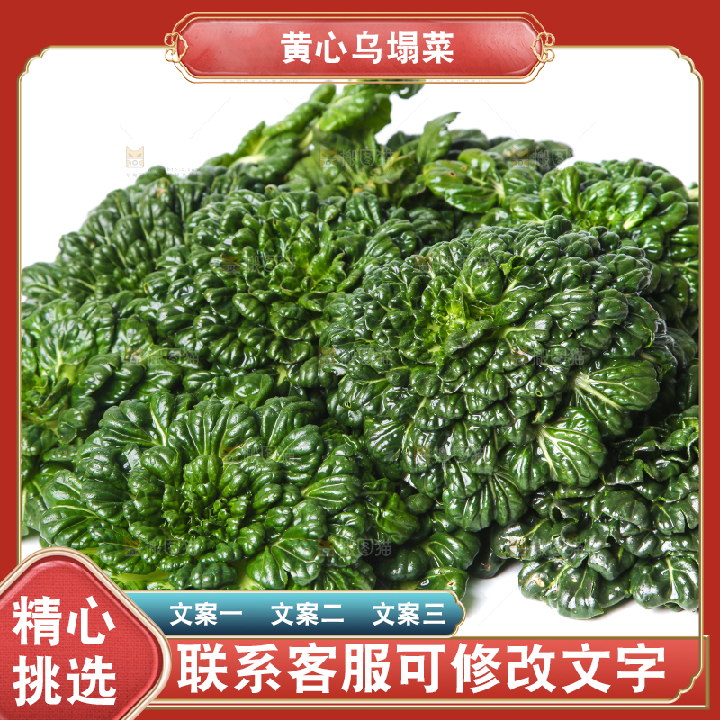 白底上的菊花菜