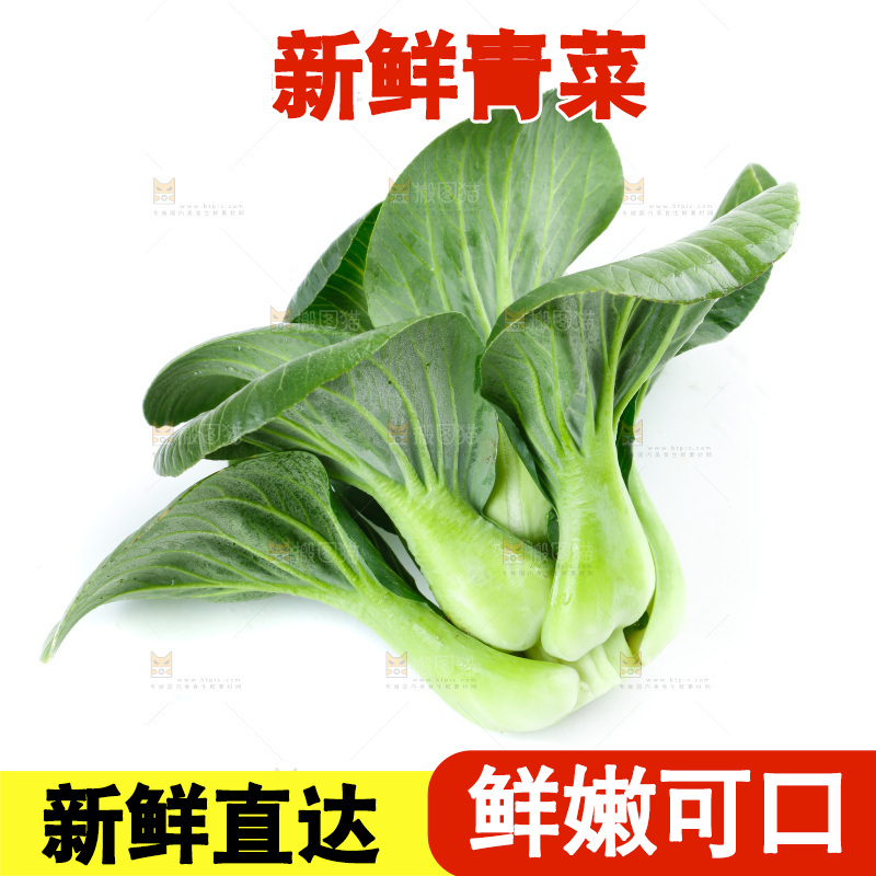 白底上放着上海青