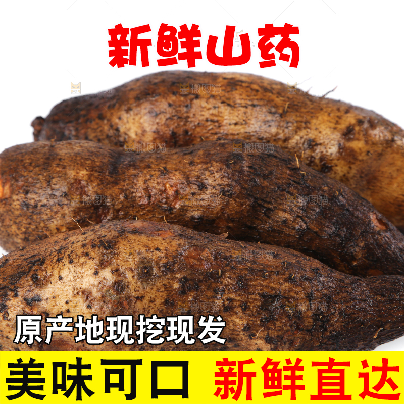 白底上的糯米金秤砣山药