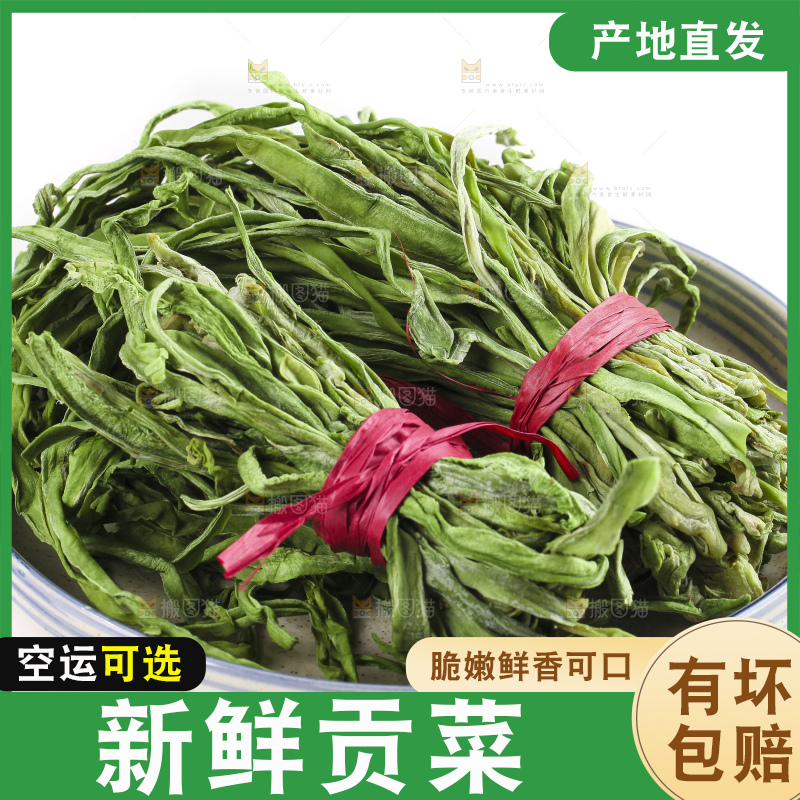 碗里装着涡阳贡菜